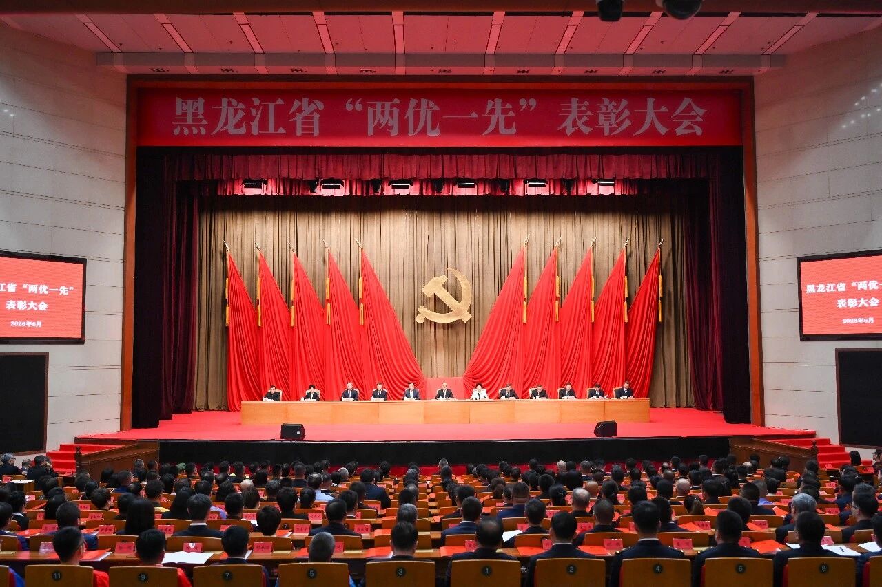 喜报！瓦力游戏党支部荣获黑龙江省先进基层党组织称号